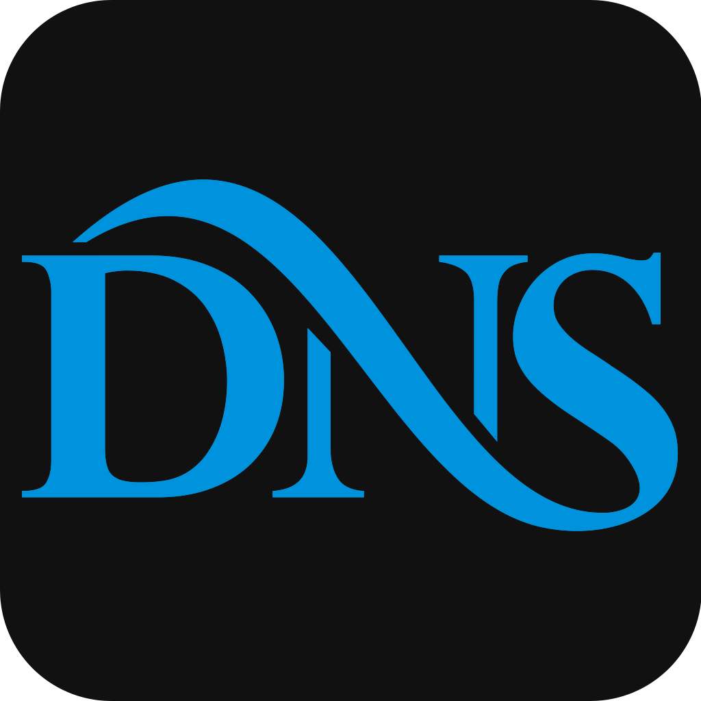 服务器托管DNS安全