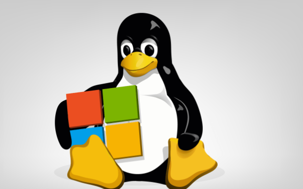 Linux系统安装升级rpm文件的方法