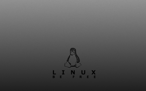 Linux服务器查看硬件配置的方法