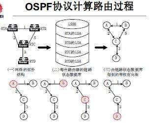 OSPF动态路由基础知识
